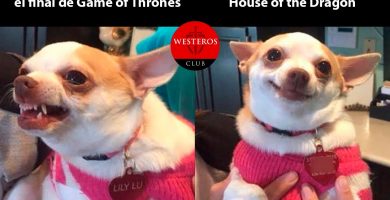 meme house of the dragon