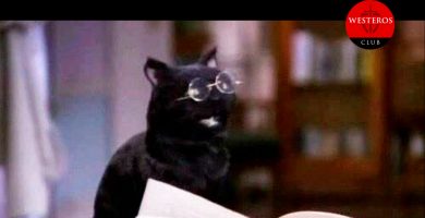 Mi reacción cuando dijo que Alicent no quería las muertes de Lyonel y Harwin Strong