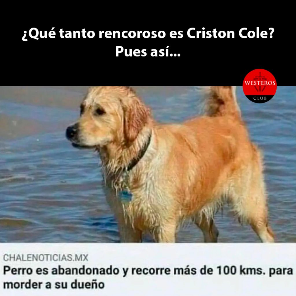 Que tan rencoroso es Criston Cole