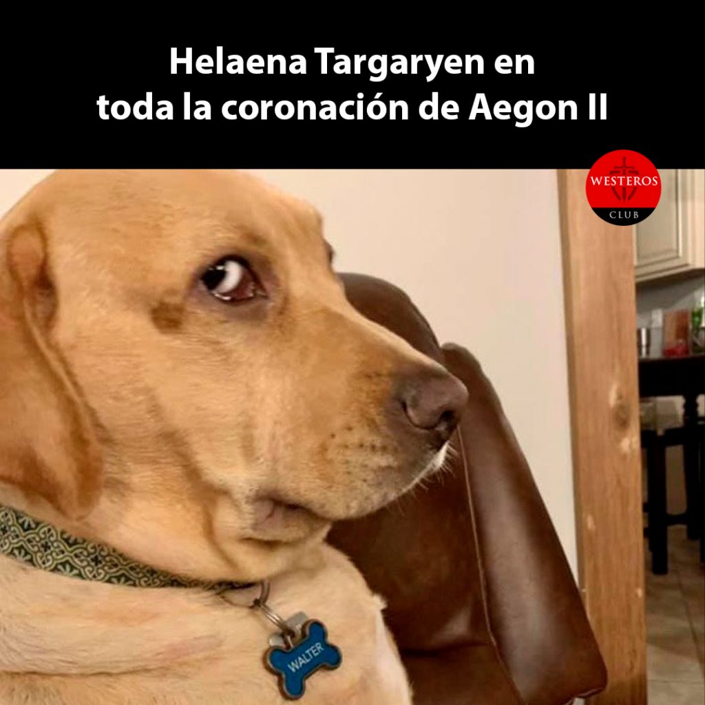 Helaena Targaryen en toda la coronación de Aegon II